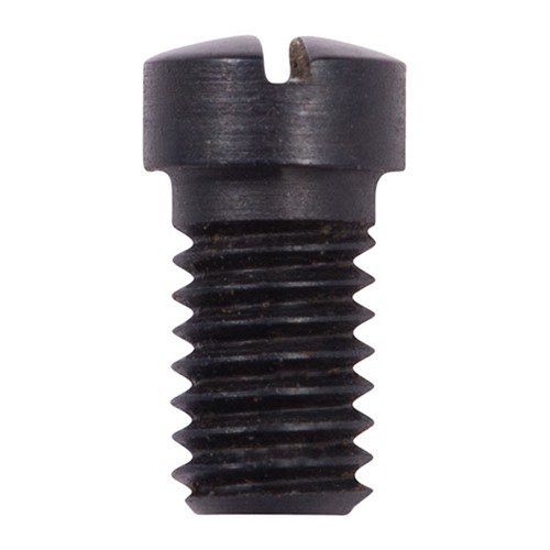 Il blued backstrap screw SAA 45LC 5.5 è progettato per il Colt Single Action Army, garantendo una perfetta adattabilità e durabilità nel tempo.